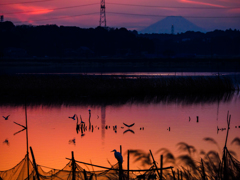 鳥たちの夕暮れ..＃2