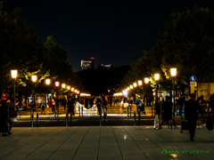 Best wishes forever. Best wishes forever.