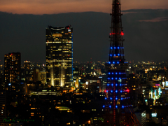 タワーのある夜景..