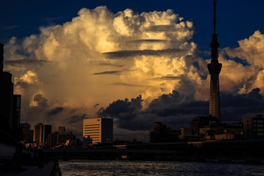 夕暮れに佇むスカイツリー