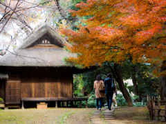 トーハクの庭園にて..