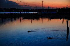 手賀沼夕景 〜 残照