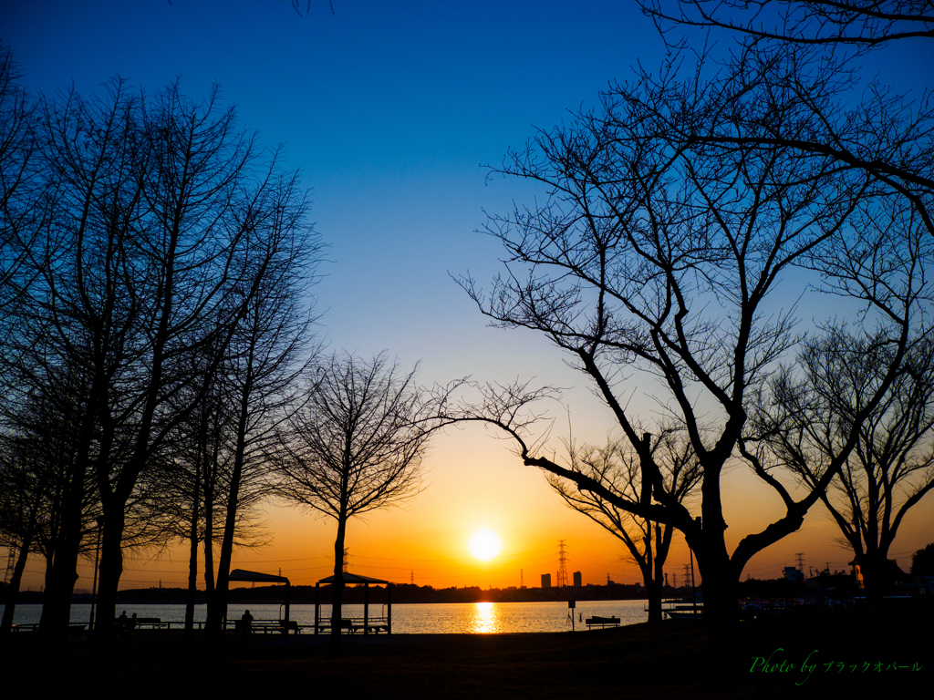 夕日の手賀沼..