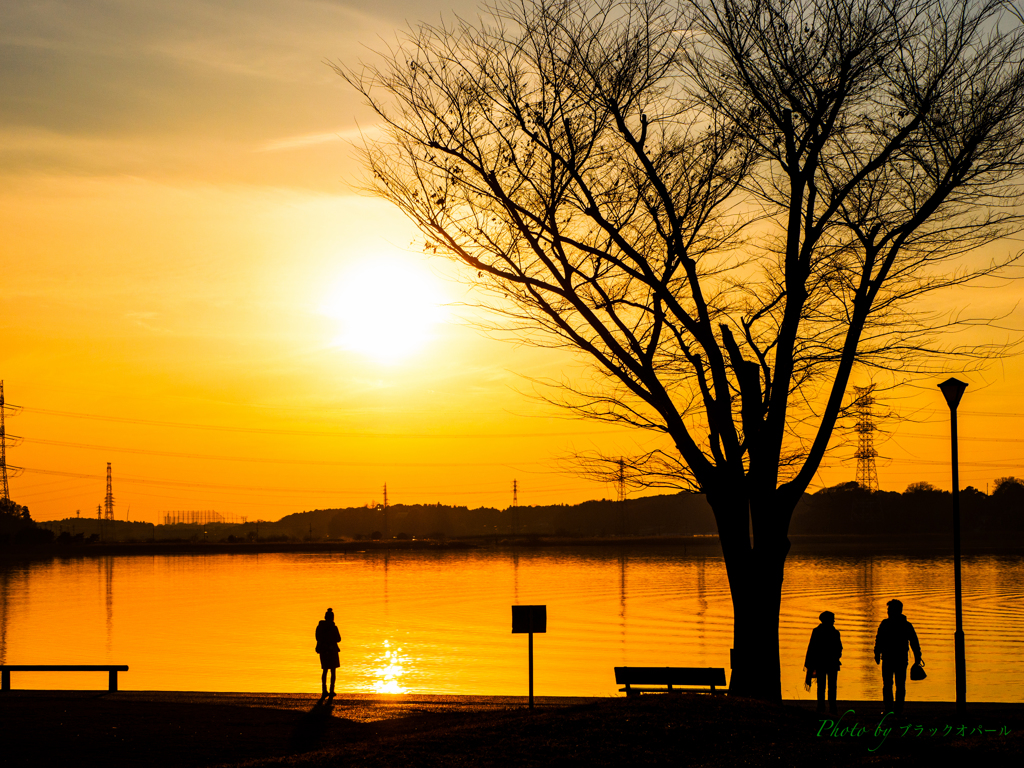夕陽に照らされて..