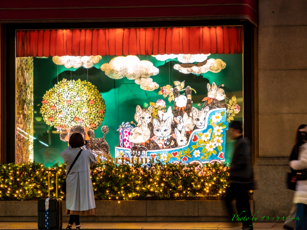 街角スナップ 〜 ショーウィンドウ..