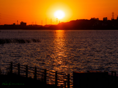 夕陽の手賀沼..