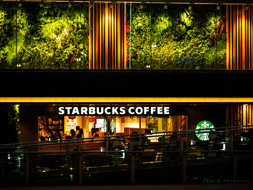 STARBUCKS COFFEE..