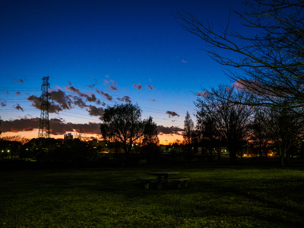 夕暮れの公園にて..＃2