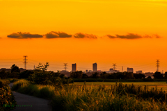 夏の夕暮れに..