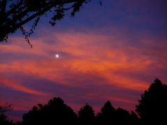 夕焼け雲と月
