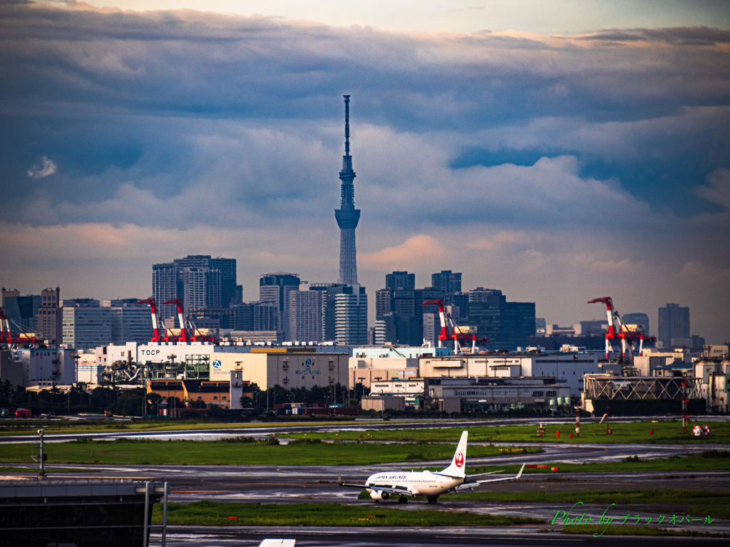 スカイツリーとキリンのいる風景..