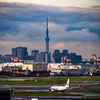 スカイツリーとキリンのいる風景..