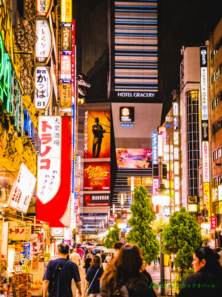 歌舞伎町の夜..