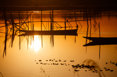 夕日がいざなう琥珀色の世界 (1)