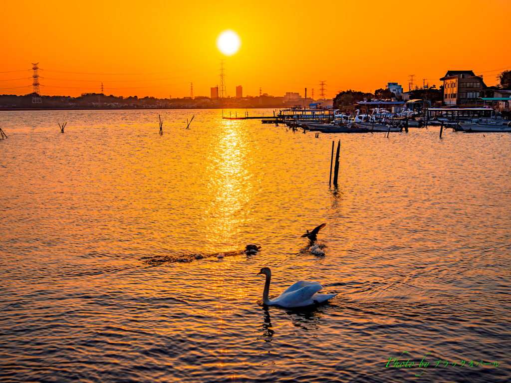 穏やかな夕暮れの風景..