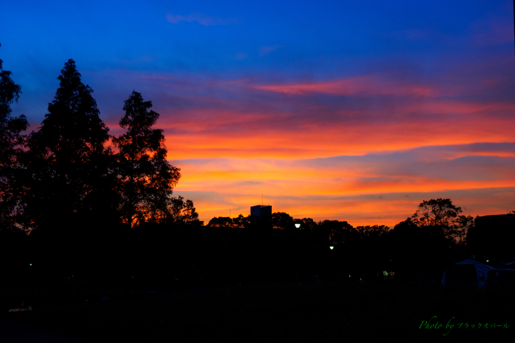 公園の夕焼け..