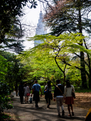 新緑の公園..