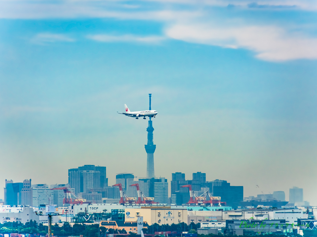 スカイツリーとJAL機..