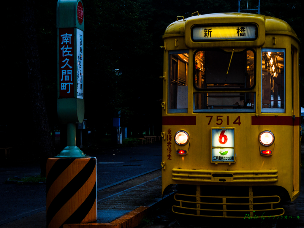 都電7500形〜江戸東京たてもの園＃11