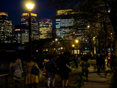 夜の皇居遊歩道