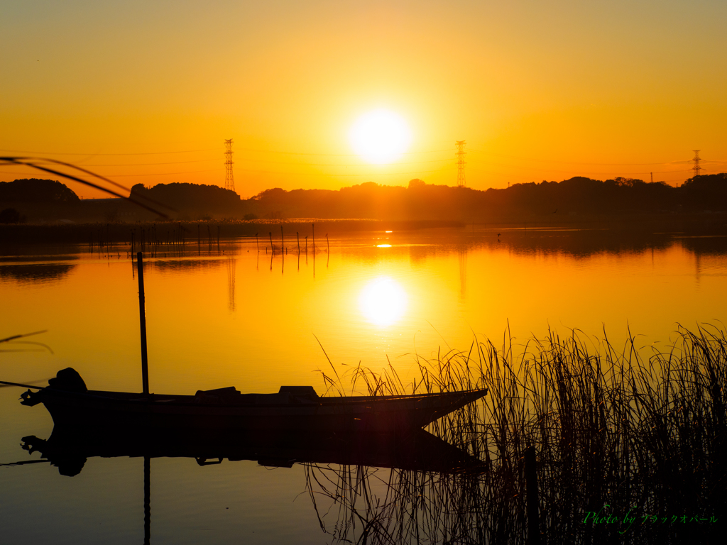 晩秋の夕日..＃2