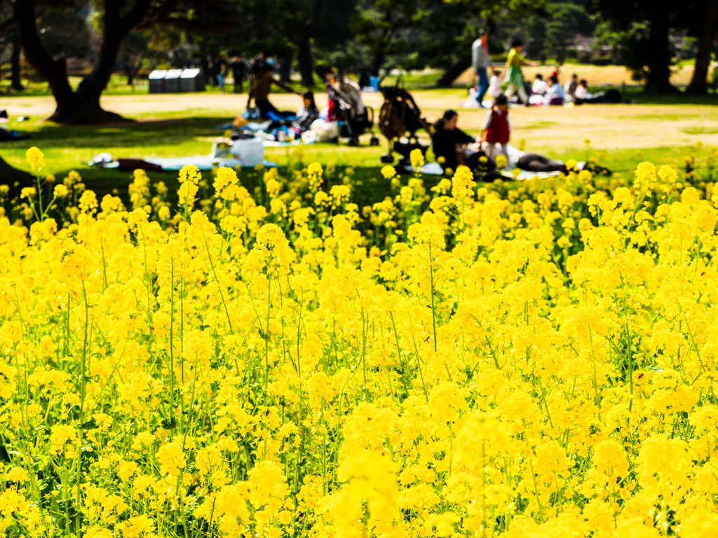 休日の庭園にて..＃2