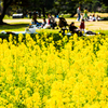 休日の庭園にて..＃2