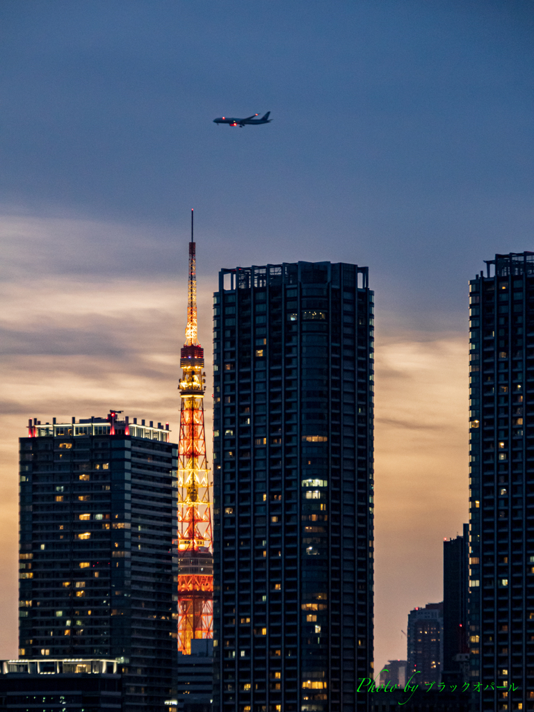 夕暮れの浪漫飛行..