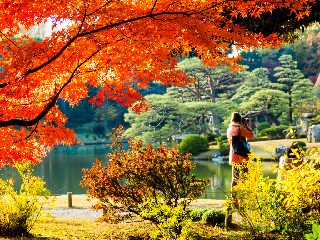 晩秋の六義園にて..＃2