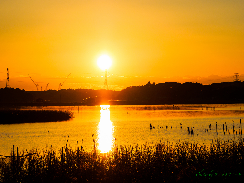 夕陽の鉄塔..