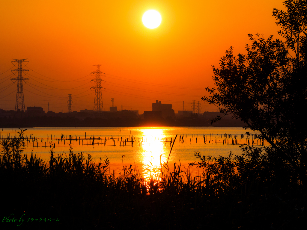 ７月の夕陽..