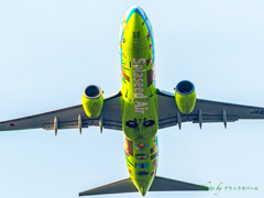 頭上のSolaseed Air..