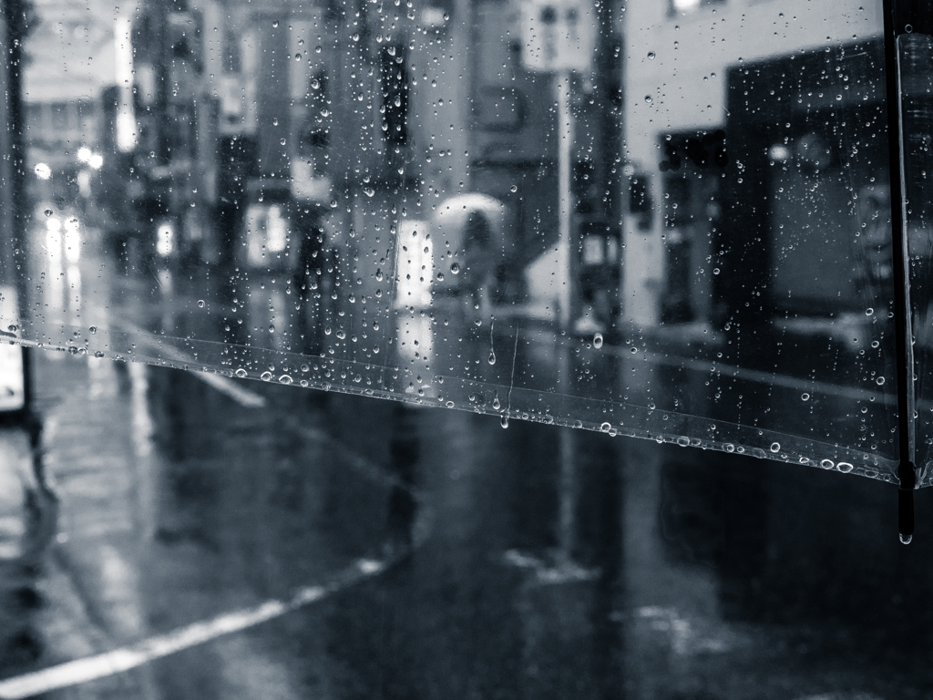 雨・・・