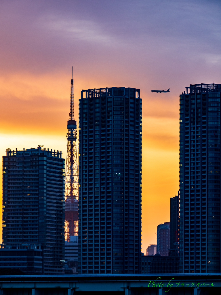 隙間の風景..