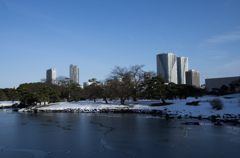 雪の浜離宮庭園⑳