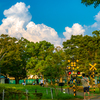 晩夏の公園にて..