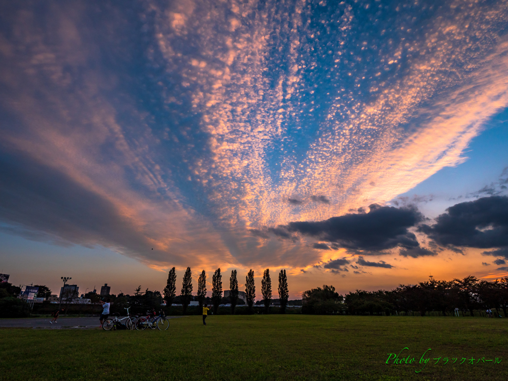 夕暮れの公園..