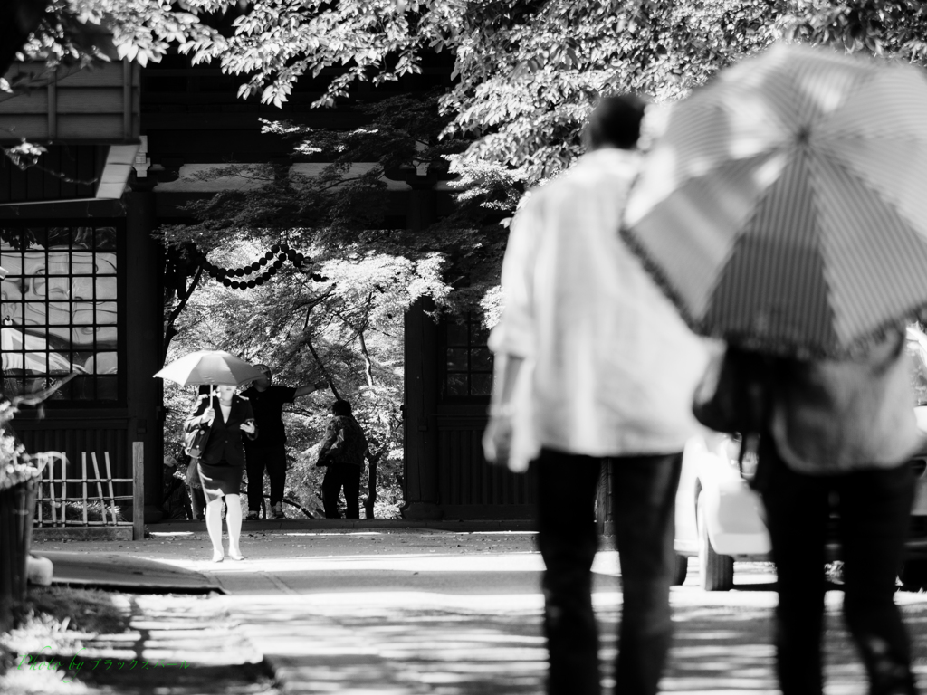 日差し降り注ぐ門前風景..