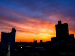 夕焼けの常磐線特急..