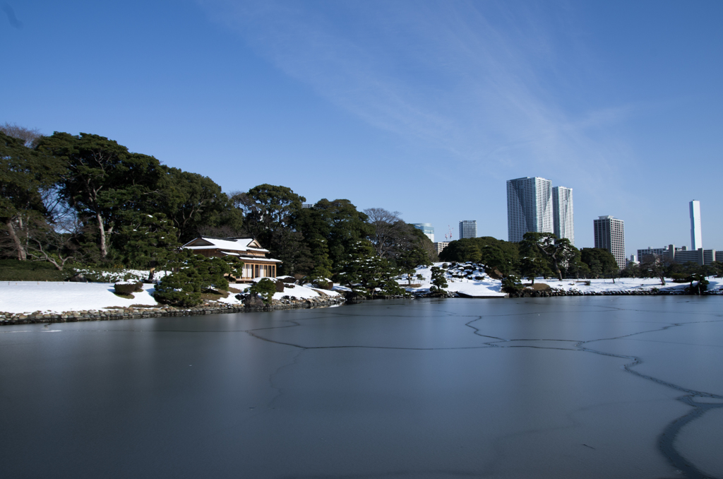 雪の浜離宮庭園②