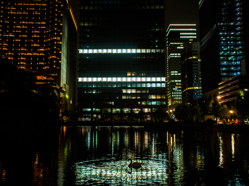 夜の波紋。。。