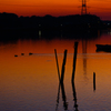 手賀沼夕景 〜 琥珀色の刻 (2)