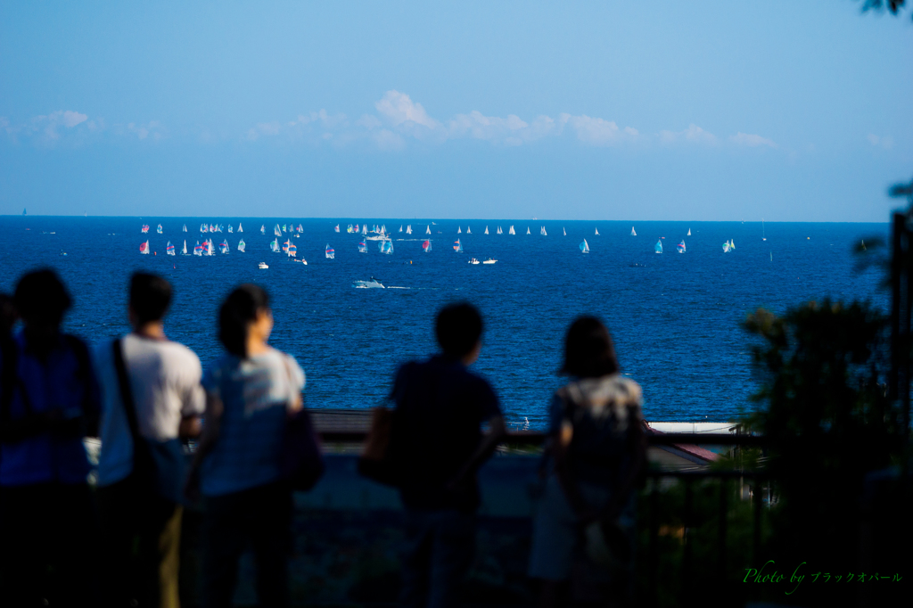 湘南の海..＃3