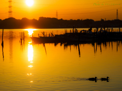 ゆったりと時が流れる秋の夕暮れ..