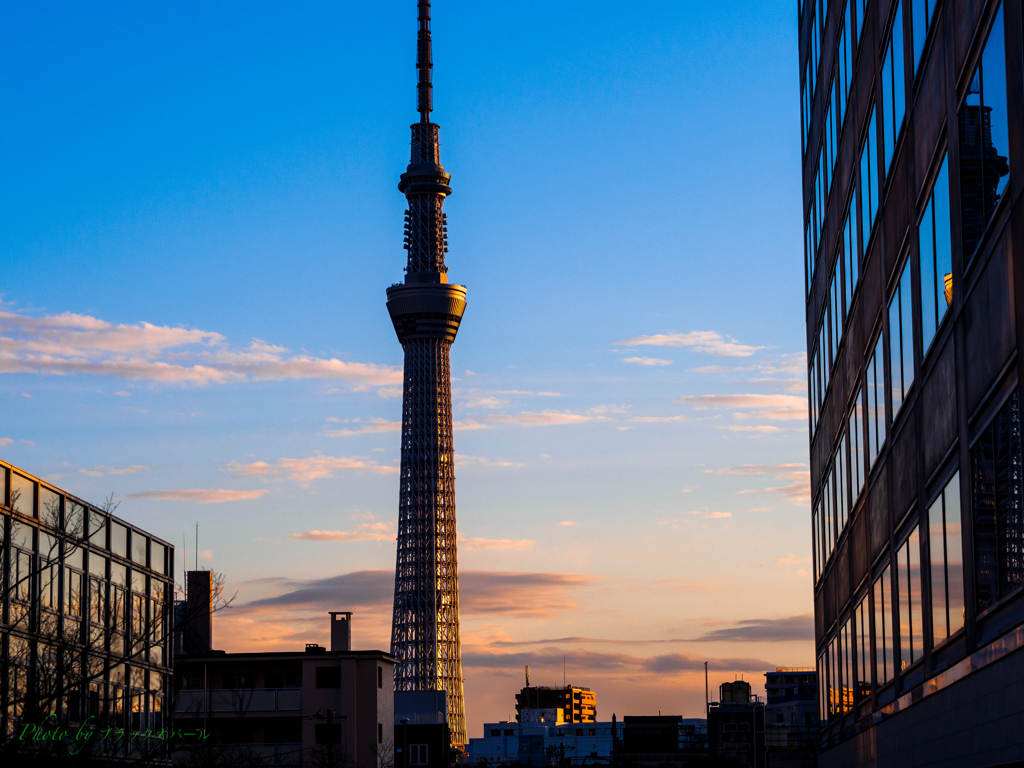 夕空に佇む..