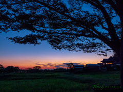 里の夕暮れ..