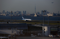 羽田空港風景①〜B787とスカイツリー