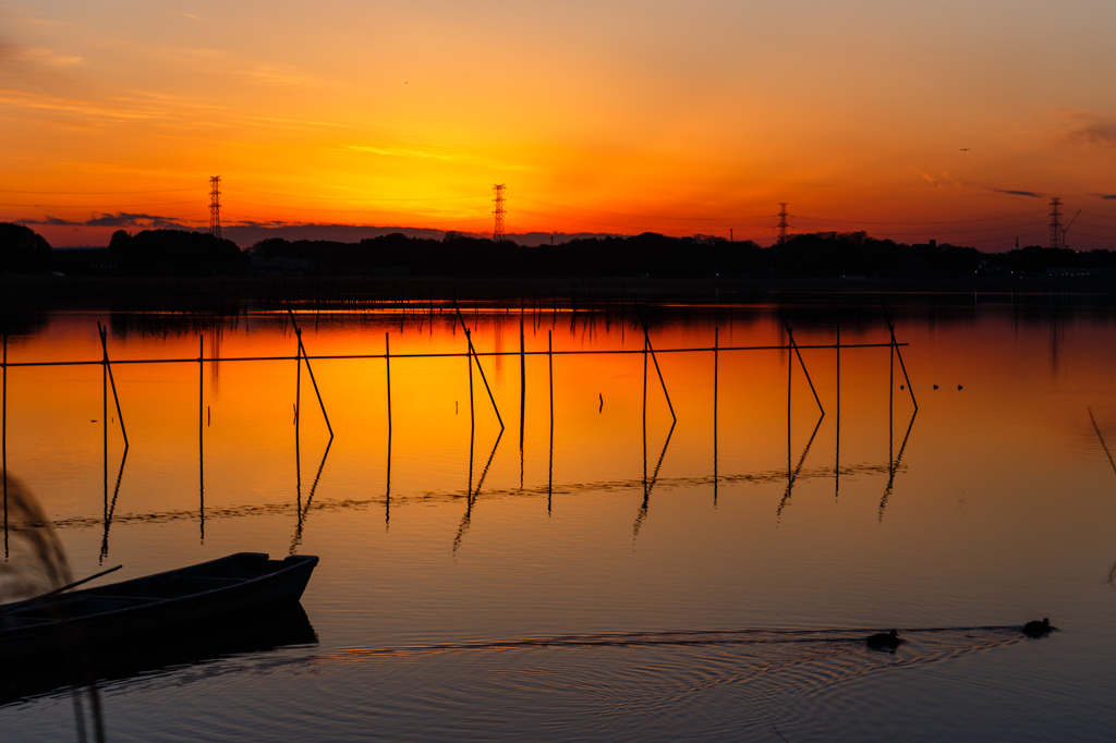 夕日がいざなう琥珀色の世界 (8)