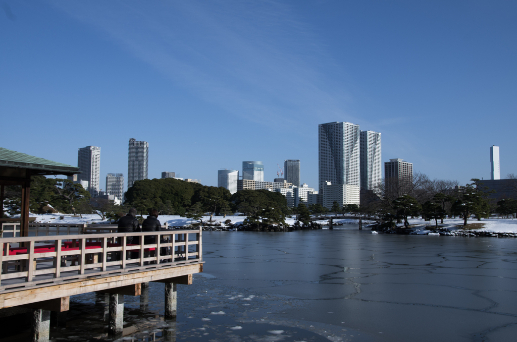 雪の浜離宮庭園③