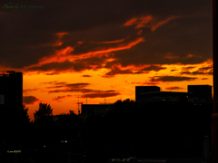 夕焼けの街..